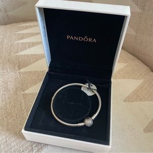 Pandora Starter Charm Bracelet